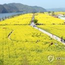 낙동강변19 이미지
