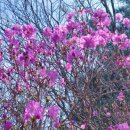 복천사약수터 이미지