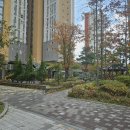 김포시 한강신도시반도유보라4차 네이버블로그