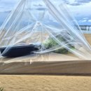 헌화로987 이미지