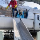 삼가향어 이미지