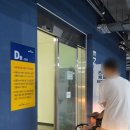 54 | 시흥 신상 아쿠아리움 거북섬 '더베이 54' 아이랑 다녀온 솔직 후기