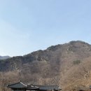 [충북/영동] 호랑이 기운을 품은 반야사 템플스테이! 제대로 힐링이다