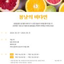 서귀포 오션뷰 숙소 더 그랜드 섬오름 제주 벚꽃 여행 후기