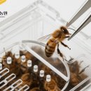 키퍼농원
