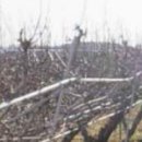 산청공인중개사사무소 이미지