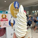 토야 | 삿포로 여행 키노토야 아이스크림 후기 신치토세공항 위치 가격 웨이팅 꿀팁