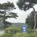 홈플러스 오창점 | 청주 글램핑 수영장 오창 벨루아 글램핑 카바나 1 후기 (feat. 홈플러스 꽃게)