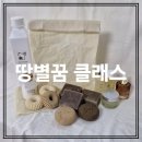 땅별꿈