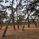 주생초등학교 이미지