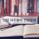 더기운 | 삼재라 받아본 사주풀이 쪽집게 신년운세 사주상담 더좋은기운 대만족후기