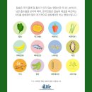 씨엠(CM)