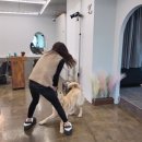 독불장군 이미지