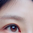 GS25영통미리내점 | ✨영통속눈썹 추천 망포속눈썹 추천 엔스뷰티 서천점에서 받은 엔스블랙틴팅펌, 인생 속눈썹 펌 찾았어요