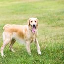 토비동물병원 이미지