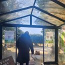 이도목장 이미지