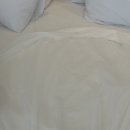 에스씨아이씨 이미지