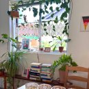 더하우스113(The house 113) | 경북 김천 아포 The house 113 더하우스113 카페추천