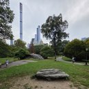 풀내음쉼터 | 뉴욕커들의 안식처 센트럴 파크(Day 17-5)