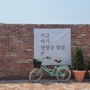 실로암정형외과의원 | [병원]염좌 D+4 / 신도림 한길정형외과 (나만 양양 못감,깁스,목발)