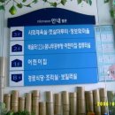 내원어린이집 이미지