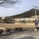 운암초등학교 앞 이미지