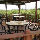 참새농장 이미지