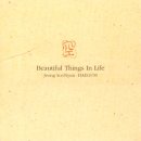 정수년의 해금연주곡집 `空` - Beautiful Things In Life 이미지