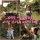 학수농장 | 남양주 가을 갈만한곳 아이랑 안나농원 배따기 체험