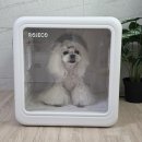 펫맘애 | 펫드라이룸, 강아지 목욕 후 필수템! 로제코 애견 드라이룸 후기