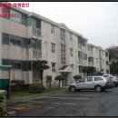 강정동-19 이미지