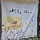 인천 백일사진 돌사진 전문 베이비스튜디오 나무그늘 만족 후기