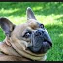 GS25 양산신평점 이미지