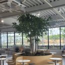 UR(경산시)-[대구대로]-하-1 | 경산 인테리어 예쁜 대구대 신상카페 섬섬밀밀 솔직후기