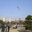 광주어린이대공원 티스토리