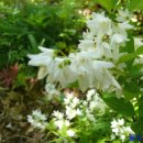 마음의 양식 이미지