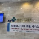 흑석동 중앙대 김광준교수님 정밀초음파 초진 후기 단일대동맥 PLSVC