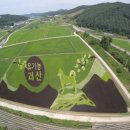 행복하 개 이미지