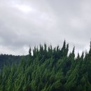 황태마을봉평점 이미지