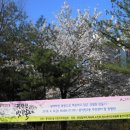 풍덕천2동 주민센터 이미지