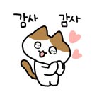 마마파오추 이미지