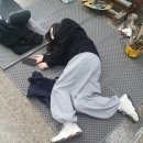 현준축산 이미지