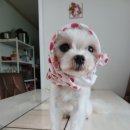 경산생활체육공원 이미지