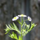 점동농장 이미지