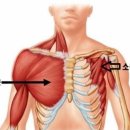 렛츠피티 이미지