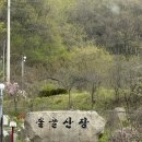 힐링산장 | 5월 철원 여행 철원 단체 펜션 힐링솔골산장 1박 후기