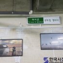 하이존