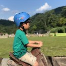 종식목장 이미지