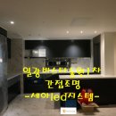 세아LED시스템 이미지
