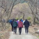 북상면-32 이미지